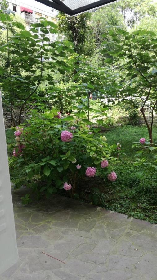 베오그라드 Vracar Krunska Jamiva 아파트 외부 사진
